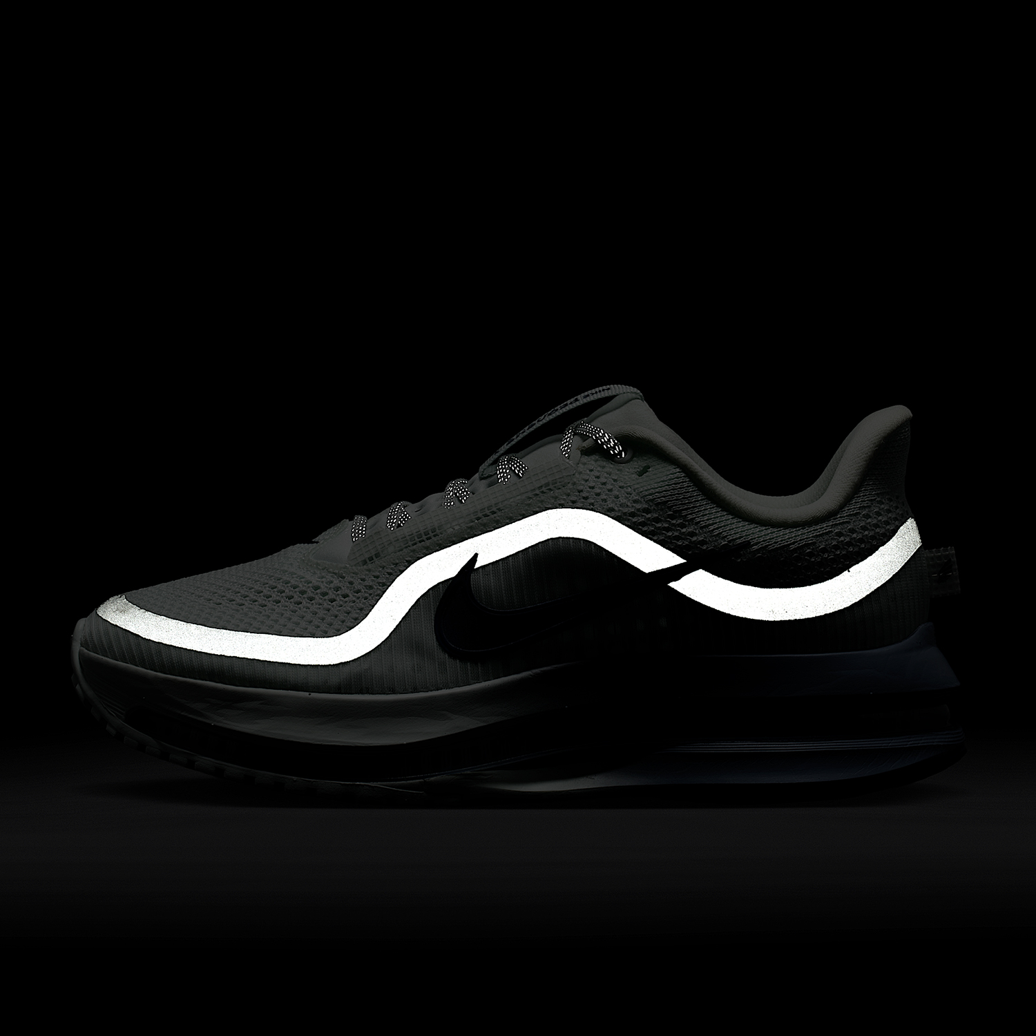 나이키 정품 PEGASUS PREMIUM 여성용 충격  - Women Shoes Running Nike 리뷰 및 가격