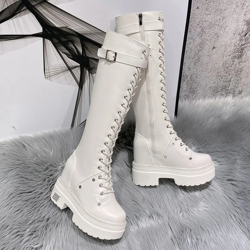 10CM 여성용 플랫폼 니하이 부츠 겨울용 따뜻한 플러 - Knee High Boots Women 리뷰 및 가격