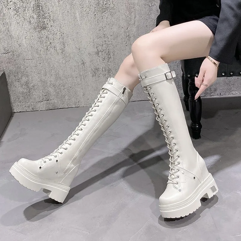 10CM 여성용 플랫폼 니하이 부츠 겨울용 따뜻한 플러 - Knee High Boots Women 리뷰 및 가격