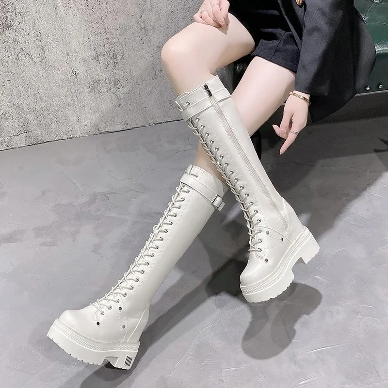 10CM 여성용 플랫폼 니하이 부츠 겨울용 따뜻한 플러 - Knee High Boots Women 리뷰 및 가격